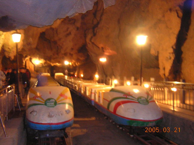 こんな乗り物でいざ探検！