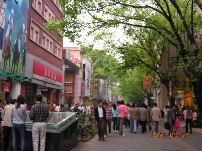 大都市ですね。