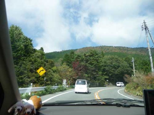 御殿場をすぎ河口湖方面へ車を走らせると<br />ほんのり紅葉が。ちょっとまだ早いけど、秋っぽさはある。