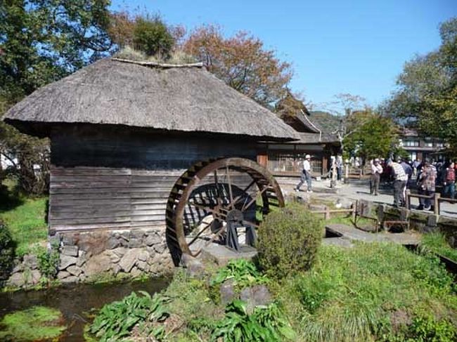 まず行ったのは、河口湖の手前にある「忍野八海」。<br /><br />水車や湧水池があります。