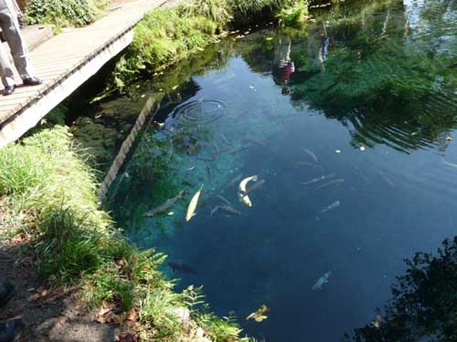 写真だと伝わらないと思うけど、水の透明度が高くて青い神秘的な色。<br />水深はかなり深い。