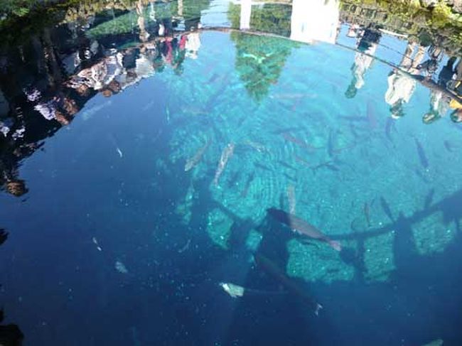 この青さ！すごい綺麗〜