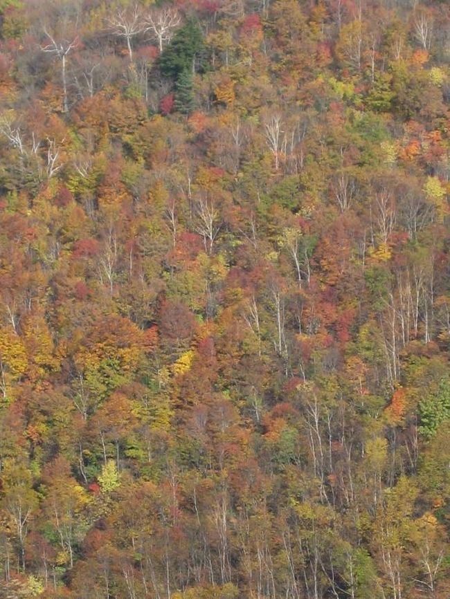 天元台と裏磐梯の紅葉 白布 天元台 山形県 の旅行記 ブログ By 悠遊人 ゆうゆうじん さん フォートラベル 天元台と裏磐梯の紅葉 白布 天元台 山形県 の旅行記 ブログ By 悠遊人 ゆうゆうじん さん フォートラベル