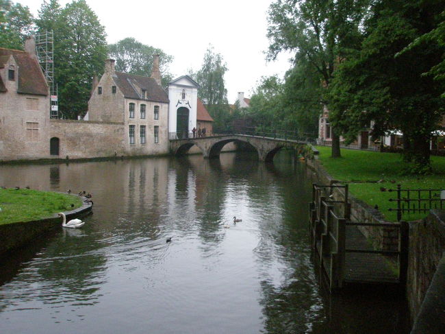 ブルージュらしい光景です。<br /><br />ここでは本当に白鳥がたくさん見られます。