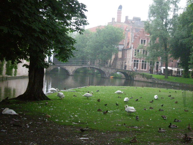 ここに来て本当によかった。