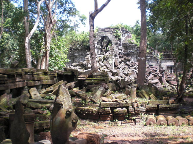 ベンメリア遺跡。<br />天空のラピュタのモデルになった遺跡らしい。