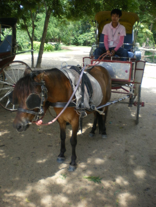 暇なのかもう馬車が迎えに来てます。