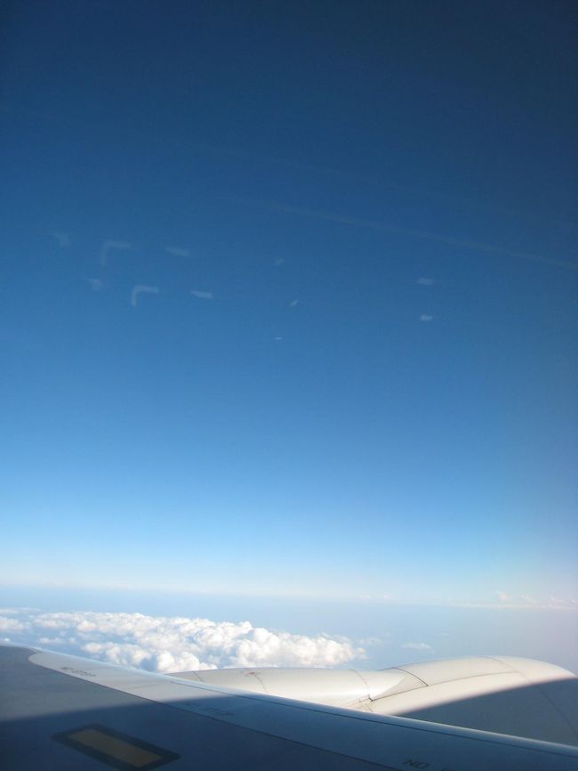 午後の便でいざ沖縄へ