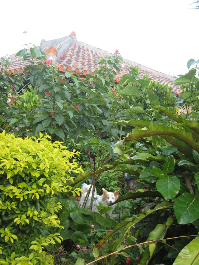 やちむんの里へ