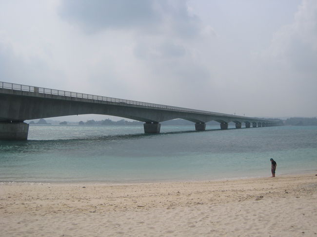 天国のような景色