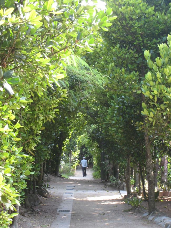 フク木並木<br />またゆっくり散策したい