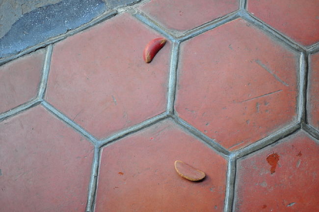 ②あなたの運は？？<br /><br />裏と表と出るとイイそうです。１回目で出ました<br /><br />でも翌日腰痛に悩まされました(-_-;)