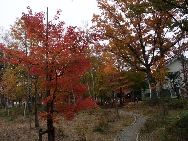 09年10月 ひるがの高原の紅葉 ひるがの高原 鷲ヶ岳 岐阜県 の旅行記 ブログ By Taka46さん フォートラベル