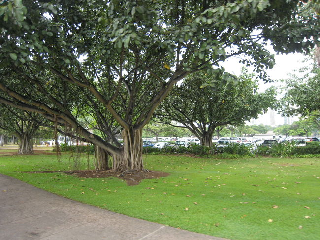 散歩するだけでしあわせ