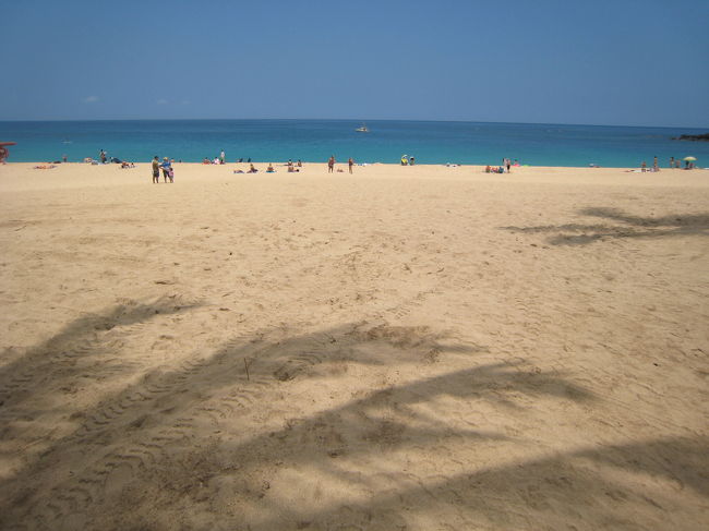 きれいきれいきれい