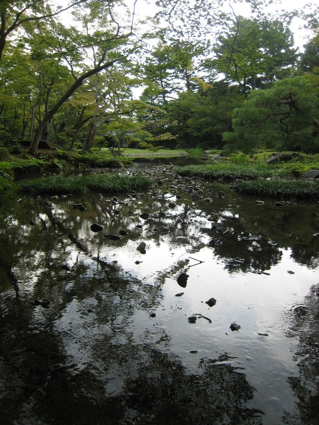 すばらしいお庭です<br /><br />雨に濡れて緑がくっきり