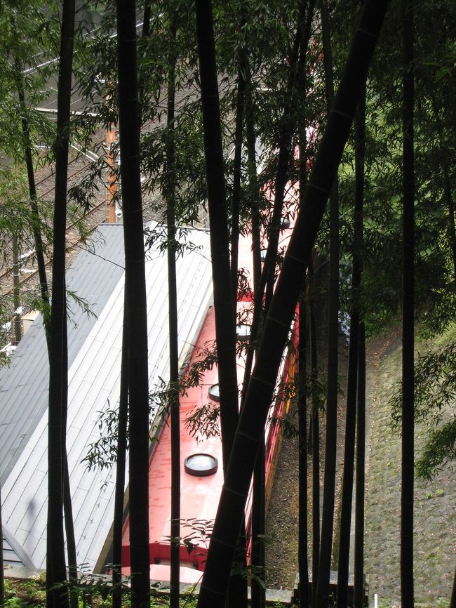 今度はトロッコ列車も乗りたいな