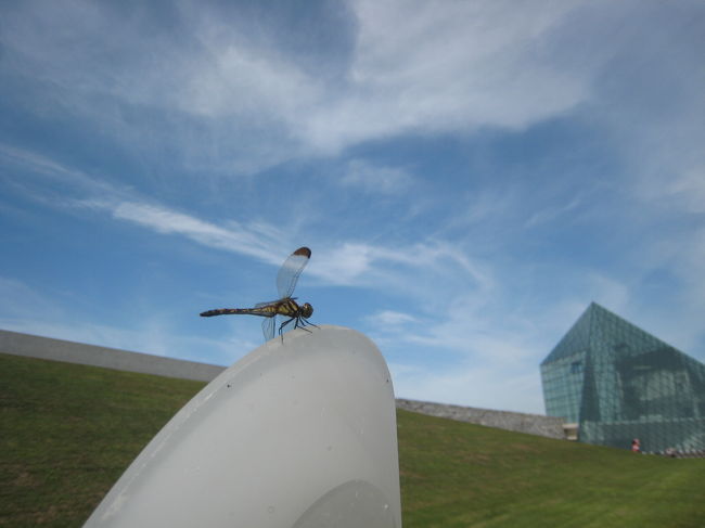 北海道はひとあし先に秋でした