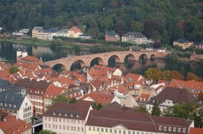 ハイデルベルグ城から取ったハイデルベルグの町並みです。