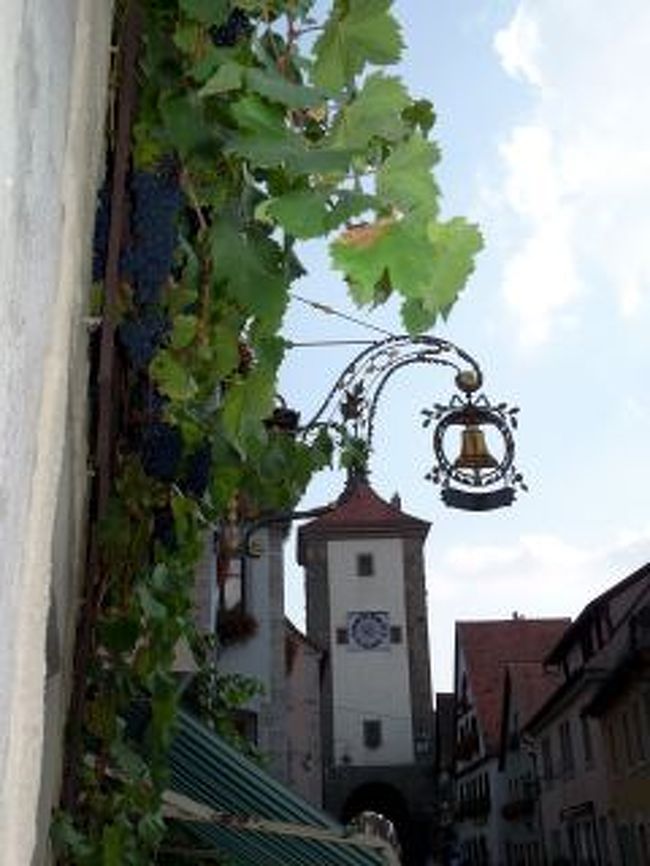 この季節はぶどうが一杯なってました。<br />これがワインになるんだよね〜。<br /><br />ローテンブルグにお別れをして本日の宿フッセンへバスで４時間走りました。