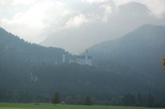 実際に見るとこんな感じです。