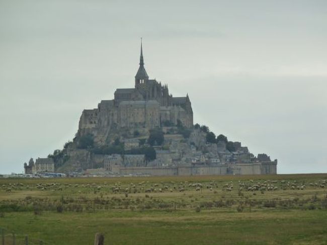 ずっと天気に恵まれてきた今回のツアーでしたが、さすがに今日は朝から雨もようでした。<br /><br />バスから見たモンサンミシェルです。<br />走行中だし、ガラス越しなのであまり良い写真ではないんですが、羊や牛の放牧が見えます。<br />沢山いたよ。何匹か数えてみて！<br /><br />羊が一匹、羊が二匹・・・・・( ｕ _ ｕ ) クゥゥゥ。ｏ◯