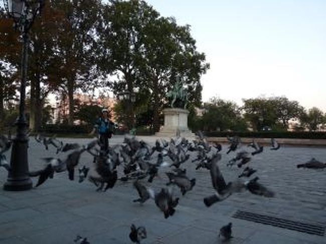 ノートルダム寺院正面には鳩が一杯いました。<br />パンをやっている地元のおじさんがいましたよ。