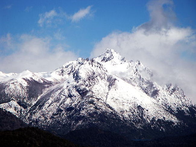 同上。ちょっとズームで。