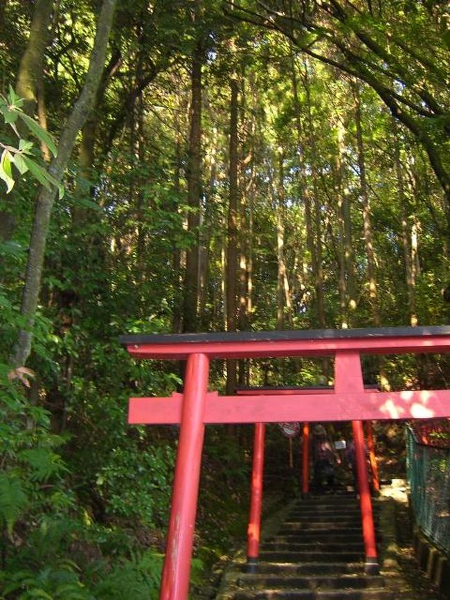 手水舎の横手から上へ上れるルート発見！<br /><br />道はあまり長くなかったので一安心。<br />やはし体力が……。。