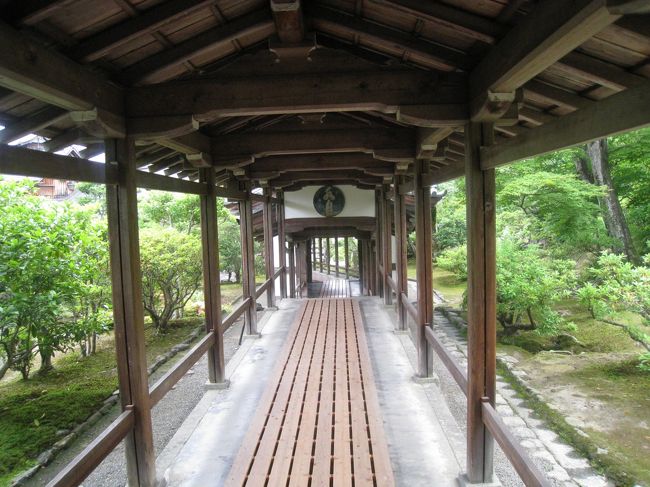 嵐山嵯峨野（1）渡月橋～西山艸堂～大覚寺