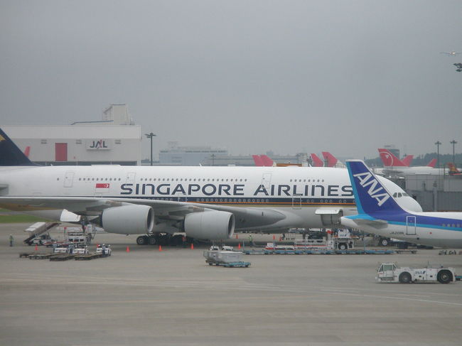 ◆LHのFクラス１名◆<br />・ITM→NRT<br />・NRT→FRA→MAD<br />・BCN→FRA→NRT<br />・HND→ITM<br />※搭乗者：旦那様<br />※必要マイル 140,000マイル（私名義のマイルを使用）<br />※燃油代＋諸税　26,460円<br /><br />◆LHのYクラス１名◆<br />・ITM→NRT<br />・NRT→FRA→MAD<br />・BCN→FRA→NRT<br />・HND→ITM<br />※搭乗者：私<br />※必要マイル 60,000マイル（私名義のマイルを使用）<br />※燃油代＋諸税　26,460円<br /><br />◆TAPポルトガル航空のYクラス１名◆<br />・MAD→LIS<br />・LIS→BCN<br />※搭乗者：旦那様<br />※必要マイル 17,000マイル（旦那様名義のマイルを使用）<br />※燃油代＋諸税　12,130円<br /><br />◆TAPポルトガル航空のYクラス１名◆<br />・MAD→LIS<br />・LIS→BCN<br />※搭乗者：私<br />※必要マイル 17,000マイル（私の父名義のマイルを使用）<br />※燃油代＋諸税　12,130円<br /><br />つまり、３名のマイレージを使い、４件の予約で発券したのです。<br />その分、マイレージや諸経費が高くなったのはいうまでもありません。<br />家族でマイルが合算できたらこんなことにならずに済んだのに〜！！<br /><br />サーチャージ０円と騒がれていた時に二人で８万円弱の出費ですから、かなり損した気分でした（泣）<br />