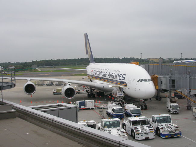 簡単な軽食といった感じです。<br />航空業界も不況だし仕方ないのかな。<br /><br />きっと昔はもっともっと豪華だったんだろうな〜。<br /><br />窓の外にはシンガポール航空のエアバス機が見えました。<br />すぐ近くで感激！！！