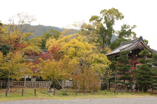 09 秋の京都:嵯峨大念仏狂言(前半)』嵐山・嵯峨野・太秦 09 秋の京都:嵯峨大念仏狂言(前半)』嵐山・嵯峨野・太秦