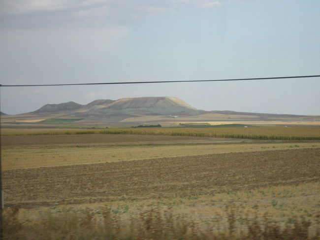 スペイン広場の後は、ホテル・フロリダノルテに向かいます。<br />その目的は、みゅうの「トレド半日観光」に参加すること。<br /><br />トレドまではマドリードから日帰りで行けるのですが、私達は何しろ時間が半日しかなかったので、<br />バスで行けるツアーを申込んでおいたのです。<br /><br />参加費は一人7200円。<br /><br />マドリードからトレドまでは電車やバスで行ってもさほど費用はかかりません。<br />往復でたったの１０ユーロ（1350円）ですから！<br /><br />かなりぼったくりのツアーだと思いますが、時間のない時や疲れている時には助かりますね。<br />バスに乗っているだけで着くのですから。<br /><br />さて、このツアーは、マドリード出発が午後3時で、マドリード解散が午後7時。<br /><br />ということは、4時間で行って観光して帰ってくるってことですよ！<br /><br />スペインで最も美しいといわれている古都・トレドでの滞在時間が少ないのは残念ですね。<br /><br />時間のある方は個人で行きましょう。<br /><br />20分遅れでホテルを出発です。<br />理由は遅れてきたツアー参加者がいたから。<br />しかもそのグループからは連絡もなかったため、<br />私達はいつまで待つのか分からずに待ちぼうけです。<br /><br />こういうのって、周りに本当に迷惑ですからやめて欲しいです。<br />せめて連絡をして欲しいですね<br /><br />しかも4時間のツアーなのに20分も遅れて、時間調整はどうするのでしょう？ヨーロッパはドライバーの労働時間も厳しく制限されているので、きっと観光時間を削られるのでしょうね。<br /><br />なんとな〜くツアー内の雰囲気が悪くなったまま、やっと全員揃ったところでバスに乗り込みます。<br /><br />気を取り直して出発。<br />トレドまでは約40分のドライブです。<br /><br />ガイドさんがトレドの歴史について話してくれました。ツアーの良いところは、解説が入るところですね<br /><br />途中、こんな景色が続きます。<br /><br />