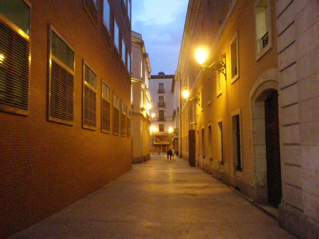 ここで学んだのですが、スペインの方は英語をほとんど話しません。<br /><br />とはいえ、スペイン語は全く分からないので、<br />無理に英語で話そうとしていました。<br /><br />案の定、嫌な顔をされるし、その結果、スペイン人って愛想がないな、と思っていた。<br /><br />でも、勇気を出して、「セニョール！！！」と呼びかけてみました。<br /><br />すると、今まで見たこともない笑顔で来てくれました。<br /><br />そして、メニューを指さして、こう言いました。<br />「トマレ、エステ」（これ、ください）<br /><br />これだけでいいんです！！<br /><br />この旅で初めて、スペイン人ってなんて素敵な笑顔を見せてくれるんだろう。<br />スペイン人と少しだけ心が通って気がしました<br /><br />「オラ」 （こんにちは）<br /><br />「ラ　クエンタ　ポル　ファボール」 （お勘定をお願いします）<br /><br />「グラシアス」 （ありがとう）<br /><br />これだけでその後、気分よく旅を続けることができました。<br /><br />「郷に入らずんば郷に従え」ですね。<br /><br />当然ですが、この国に旅行をさせて頂いているんですものね。<br />