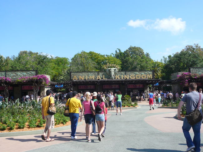 今日も朝から快晴で暑い一日が始まりました。<br />まずは、ディズニー・アニマル・キングダム（Disney's Animal Kingdom）- からスタート。。。