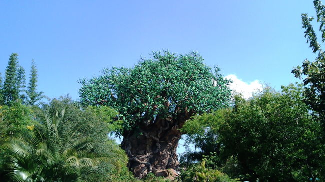 パークのシンボルは中央に位置する巨大な樹「ツリー・オブ・ライフ」。