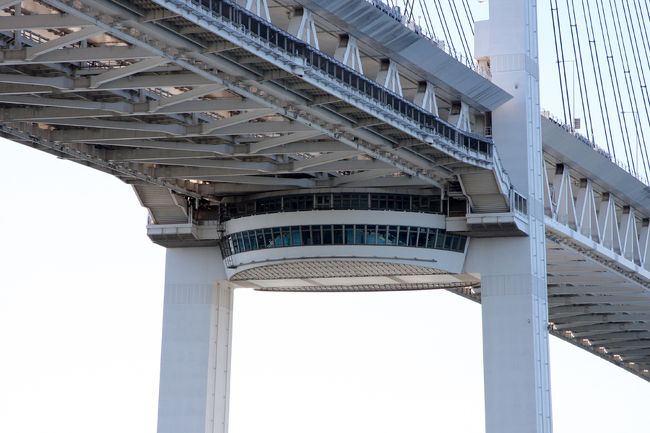 真ん中に見える部分が展望台になっています。