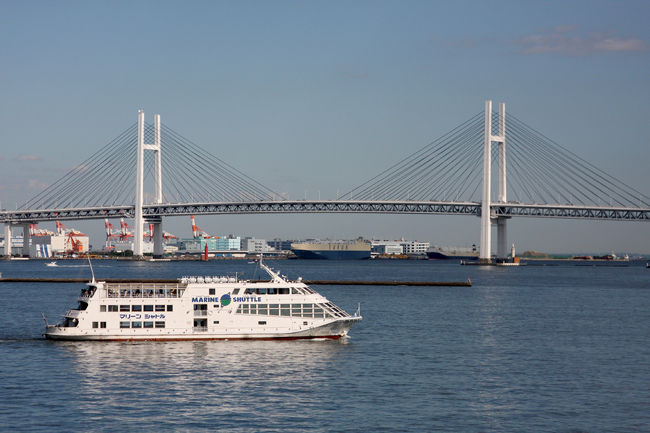 今度は逆に、大さん橋からの景色です。