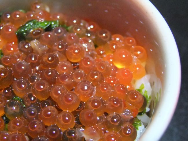 〆のイクラ丼。<br />松茸と鶏の釜飯や白飯などからチョイスします。<br />両親は釜飯にしました。<br /><br />その他には食前酒、前菜盛、<br />あこう鯛の焼き物、<br />ジャガイモを使った煮物、みそ汁、<br />レモンシャーベットが出ました。<br /><br />そしてそしてこの他にもミニバイキングがあり<br />うどんやサラダ、デザートや果物が食べ放題！<br />もうお腹一杯で歩けなくなる程食べちゃった（笑）