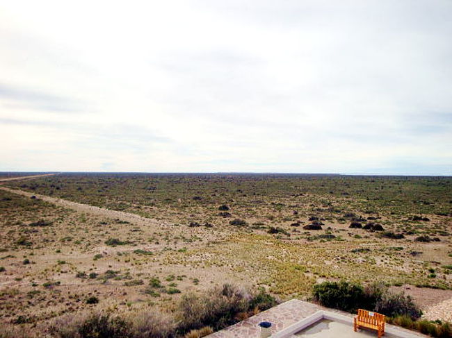 バルデス半島はパタゴニアのスタート地点と言われていますが、風景は完璧にパタゴニアですね。博物館からの風景です。