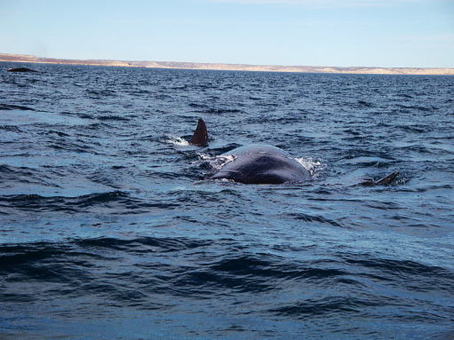 だんだん寄ってきました。