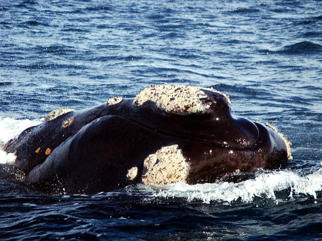なんか伝えたいようにも感じるのですが、気のせいでしょうか？