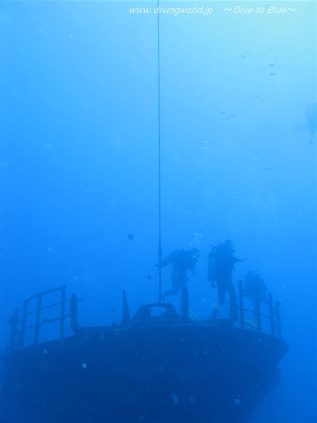 ダイビングおまとめ ZXDIVING オアフ島のダイビングは楽しい♪』ホノルル(ハワイ)の