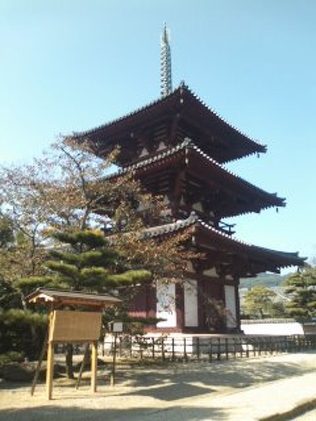 この3重の塔は再建したもののようでした。<br />こちらの如来像は凄く良かったです。