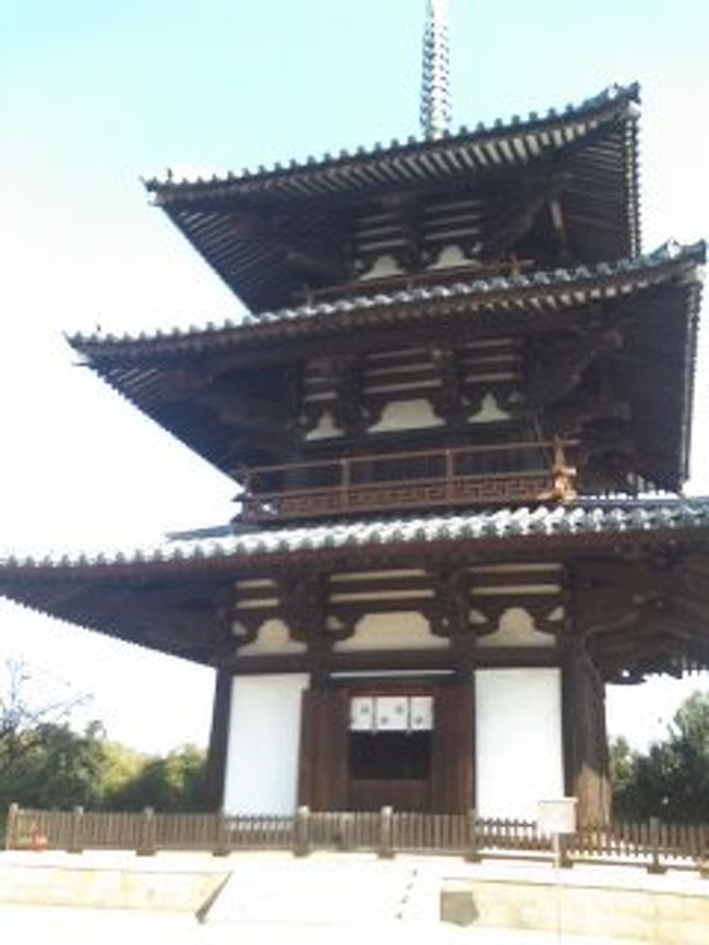 その後、法起寺へ。　この塔は日本最古だそうです。