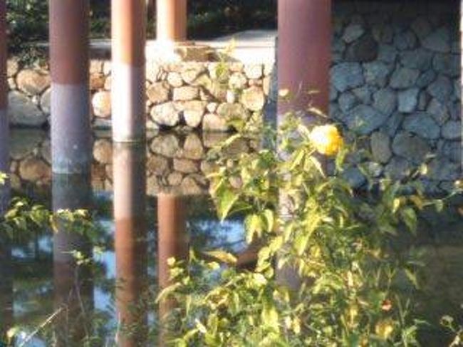 直ぐ横にある中宮寺へ。