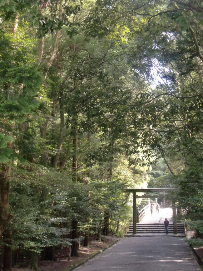 造形美に魅かれる自分として納得がいかないが、まぁ、この自然と青空の美しさに免じてノミネートは勘弁してやる。