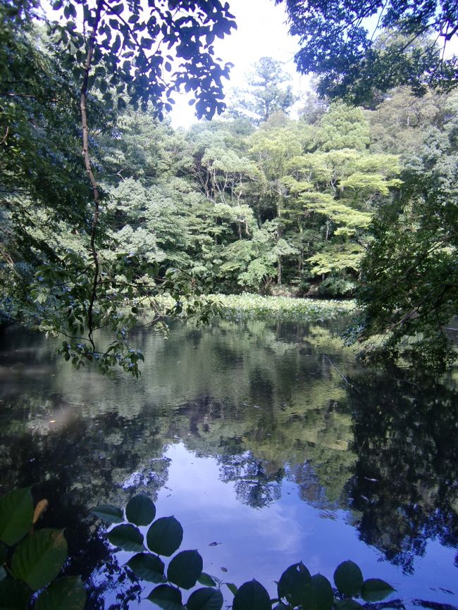 これもしかして…