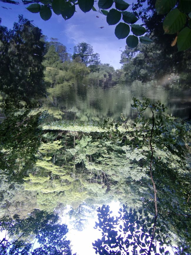 180度反転してもバレないんじゃ…。